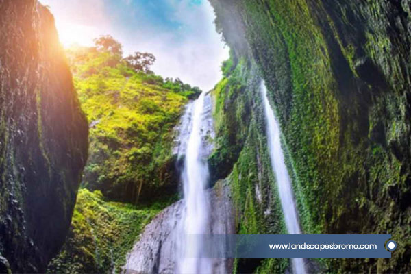www.landscapesbromo.com-8 www.landscapesbromo.com-8