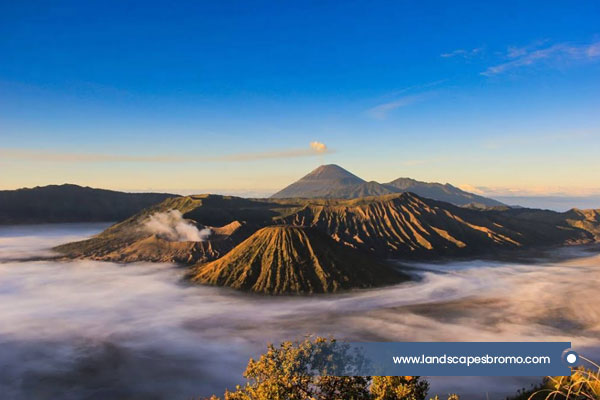 www.landscapesbromo.com-9