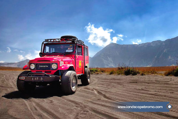 Bromo-from-Probolinggo
