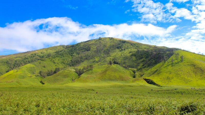 Teletubbies Hill Bromo