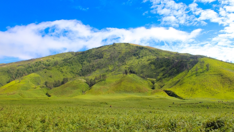 Teletubbies Hill Bromo