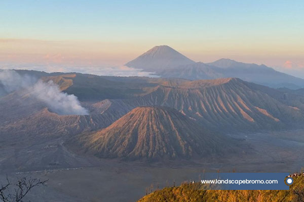 bromo-rev-1