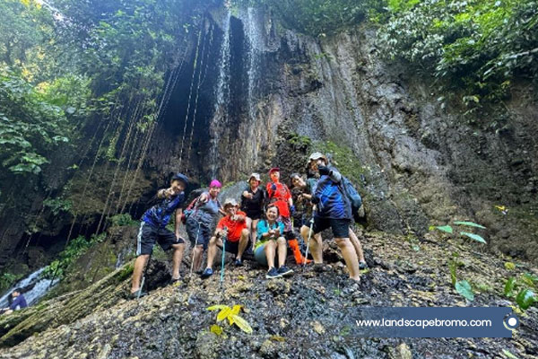 bromo-rev-3 bromo-rev-3