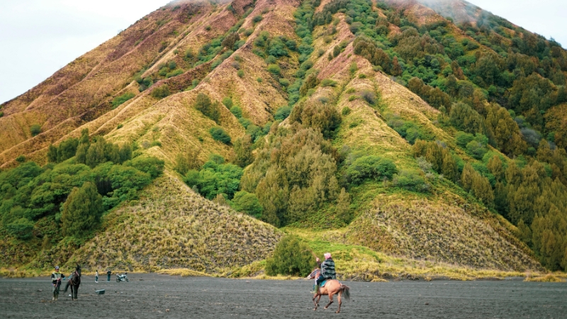 wisata dekat Bromo