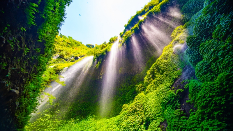 Air Terjun Madakaripura