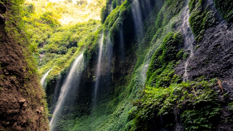 history of Madakaripura