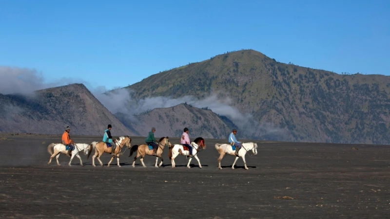 Bromo vacation