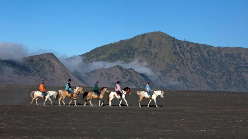 liburan ke Bromo