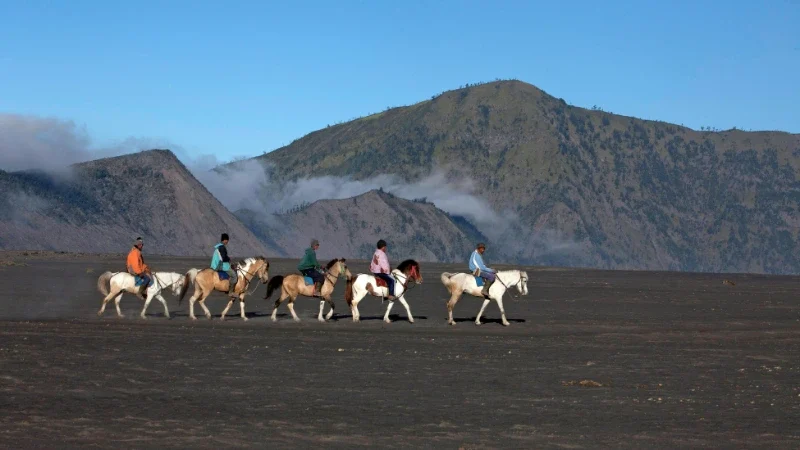 riding a horse in Bromo