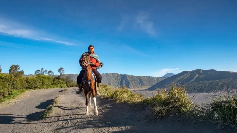 naik kuda di Bromo